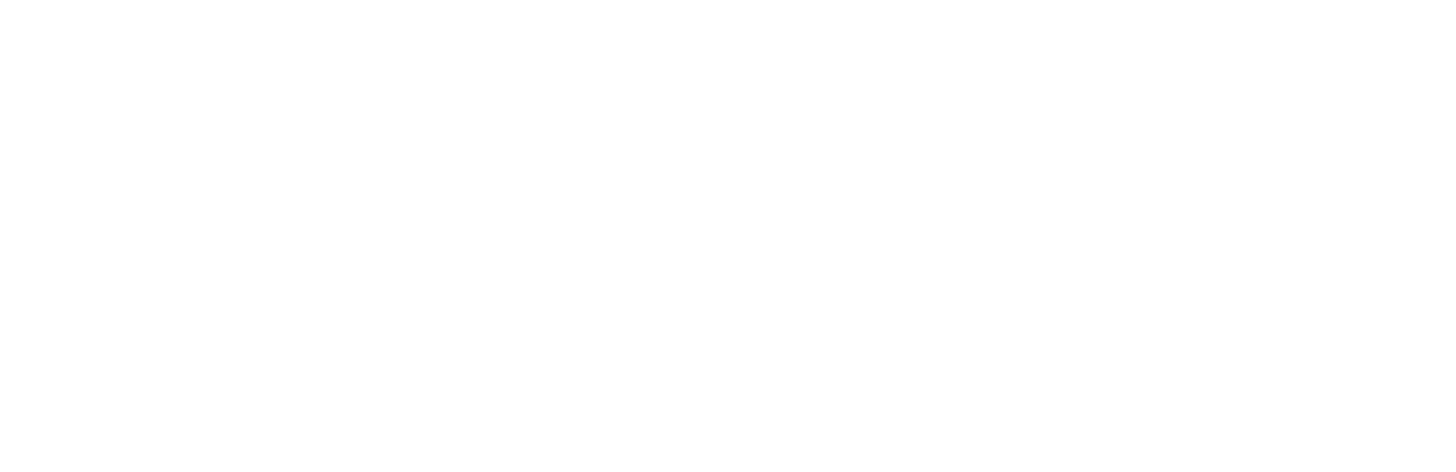 ContaSync_Logo_Weiß